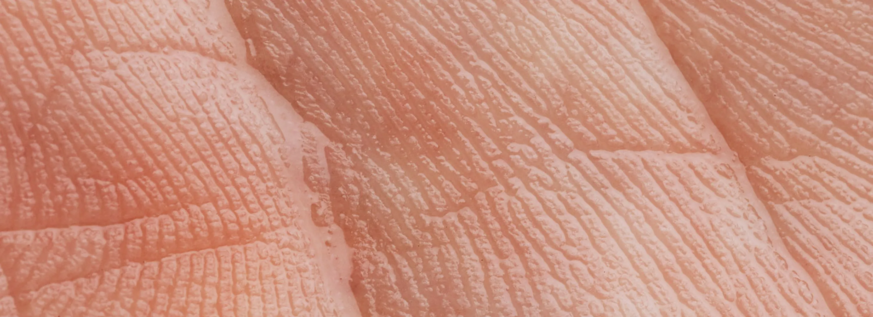 Zbliżenie na strukturę sk&oacute;ry dłoni &ndash; widoczne linie papilarne i naturalna tekstura nask&oacute;rka