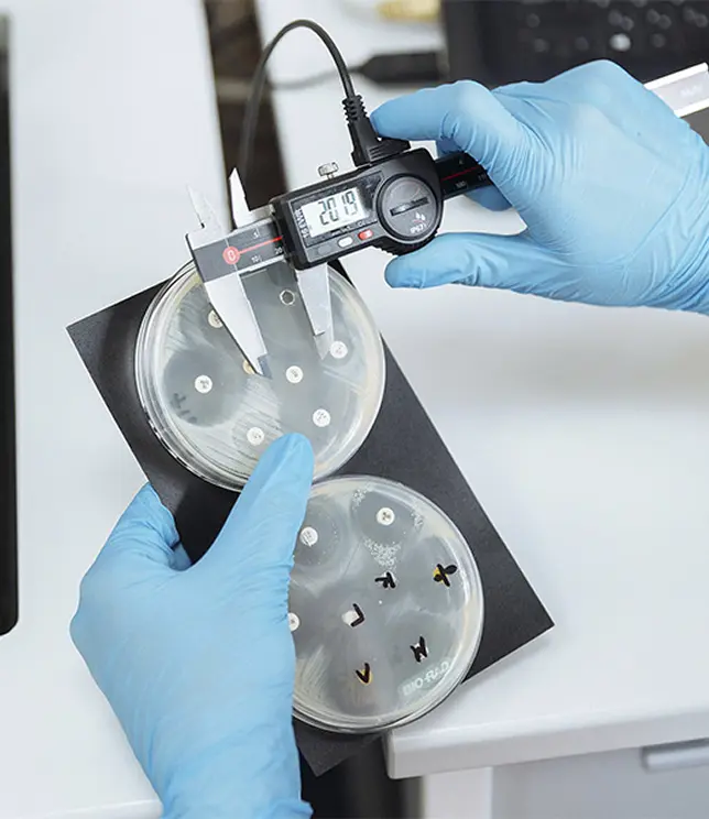 Badanie laboratoryjne &ndash; płytki z pr&oacute;bkami w laboratorium diagnostycznym.