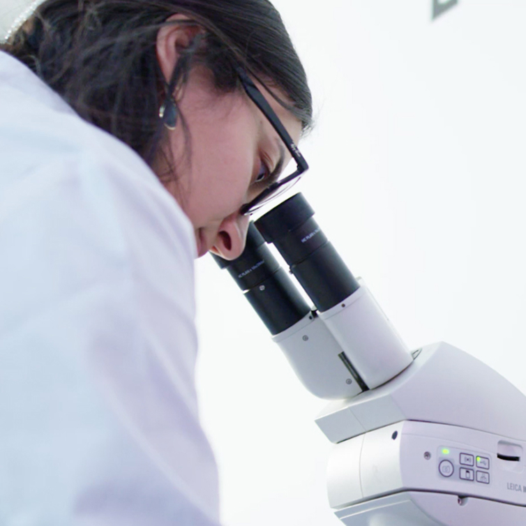 Osoba patrząca przez mikroskop laboratoryjny.