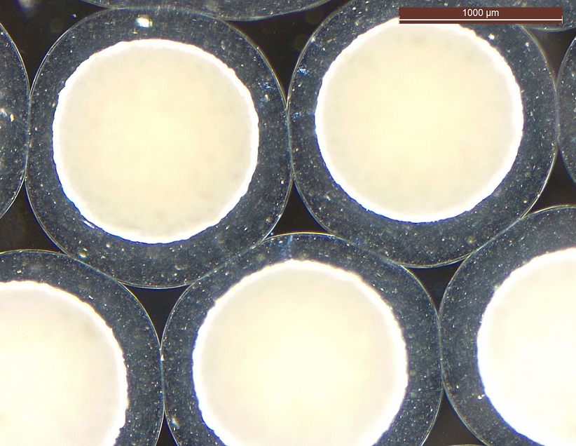 Pr&oacute;bki laboratoryjne w powiększeniu &ndash; badania nad probiotykami YUN